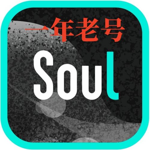 soul账号购买 出售soul小号 1年老号 女号 男号 耐用抗封 引流效果好